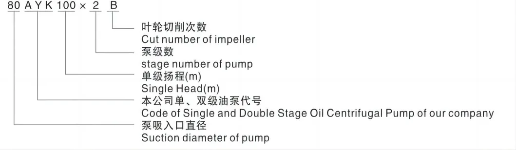 Kangqiao Oil Horizontal Chemical Single Suction Singlestage Anti-Corrosive Centrifugal Process Pump for Chloride Evaporation Forced Circulating with ISO/CE