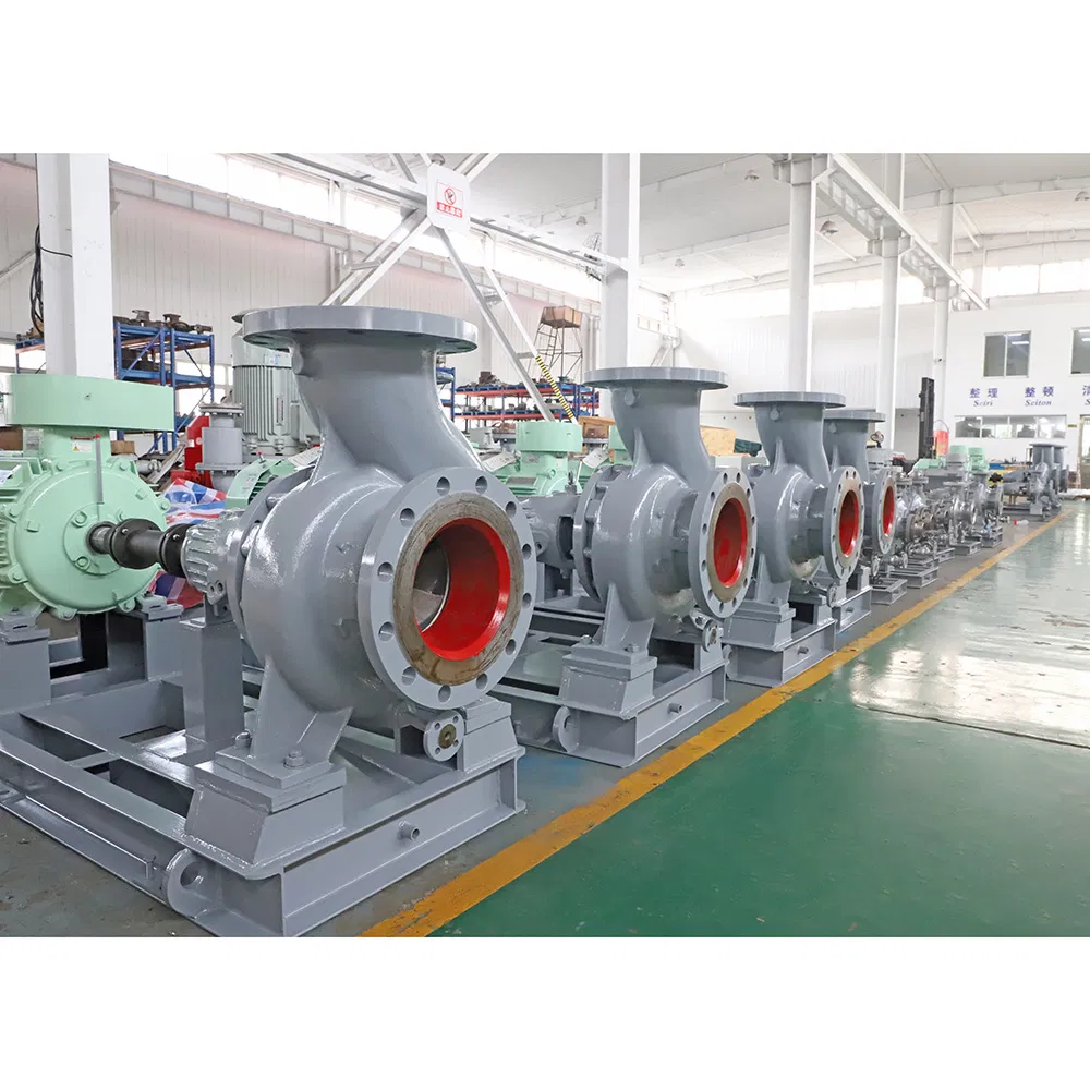 Horizontal Sludge Single-Stage Double-Suction Corrosion-Resist Chemical Centrifugal Sewage Pump for Chloride Evaporation Forced Circulating with ISO/CE