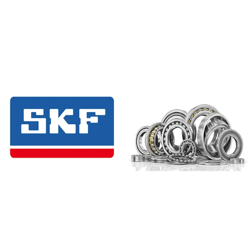 Durable Stainless Steel Open Type Rolling Bearings - Pump Bearing