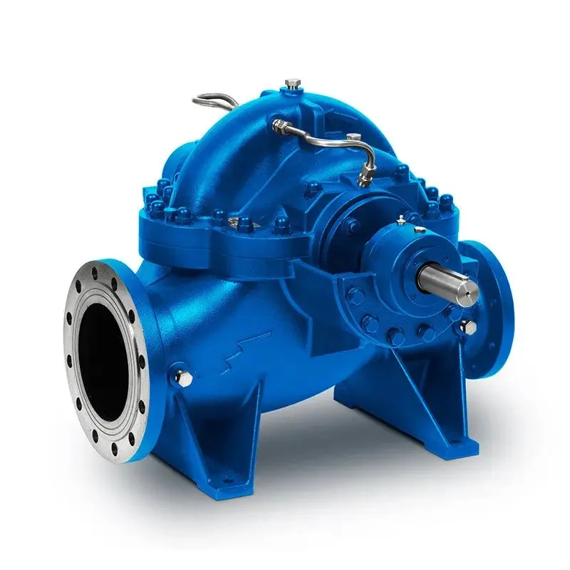 Horizontal Anti-Corrosive Single-Stage Double-Suction Energy-Efficientchemical Centrifugal Sewage Pump for Chloride Evaporation Forced Circulating with ISO/CE