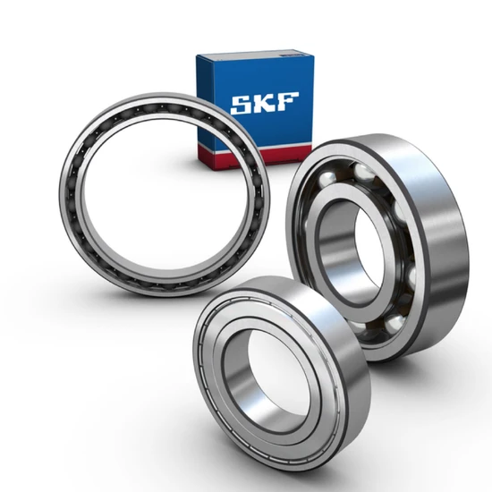 Open Seals Stainless Steel Rolling Bearings - German Pump Bearing