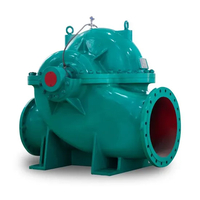Horizontal Sand Single-Stage Double-Suction Corrosion-Resist Chemical Centrifugal Sewage Pump for Chloride Evaporation Forced Circulating with ISO/CE